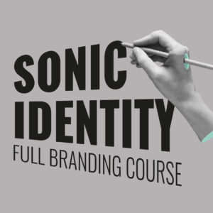 SONIC IDENTITY - full-branding-course